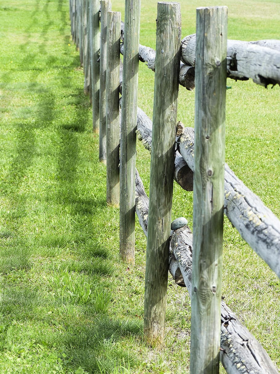 wooden fence, fence, countryside, old wooden fence, country, grass, nature, farming, farmland, plant