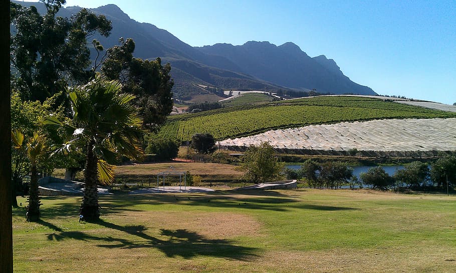 grand hotel, hotel, south africa, winelands, lake, outlook, hotel complex, riebeek kasteel, mountain, nature