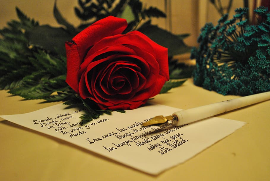 rosa, carta, romântico, vitoriano, amor, vintage, cartão postal, design, textura, flores