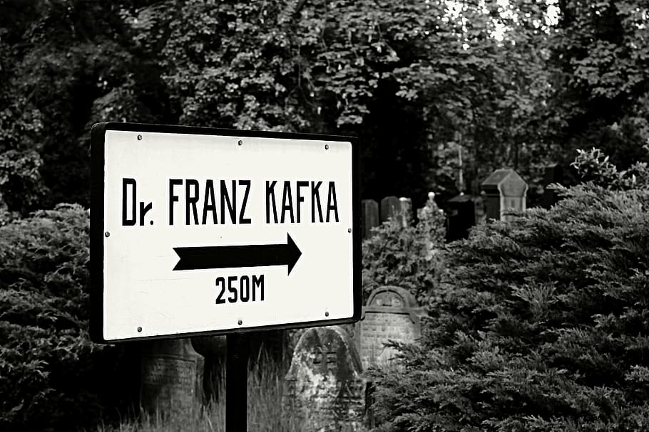 cemetery, signs, direction, kafka, writer, black and white, communication, sign, text, western script