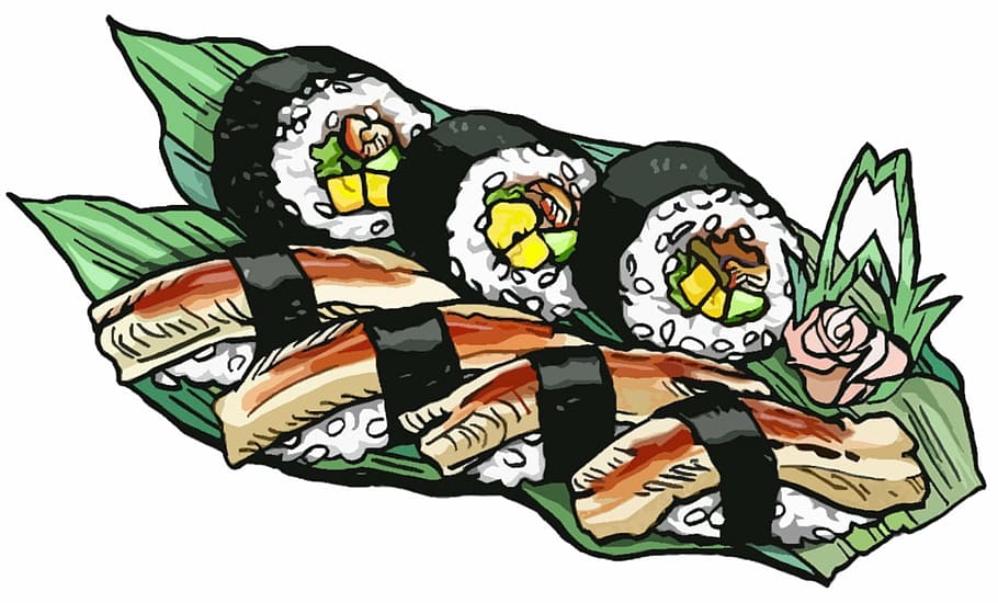 sushi, roll, conger, eel, japanese, food, japan, illustration, vector, white background