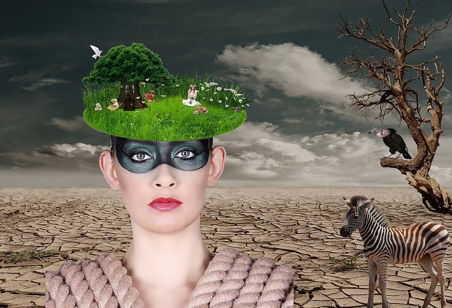 woman, zebra, vulture, abstract, art, desert, tree thoughtless, presentation, idea, clouds