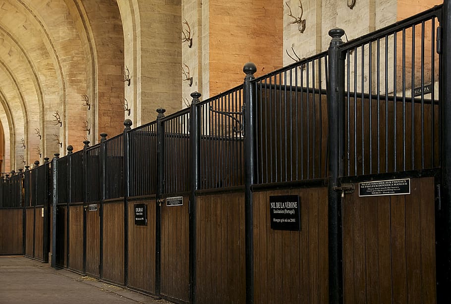 Chantilly, France, Stable, Stables, chantilly, france, horse, structure, building, architecture, city
