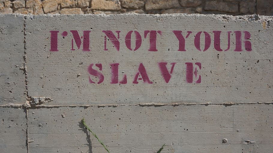 slave text, gray, concrete, wall, slave, saying, graffiti, ibiza, text, western script