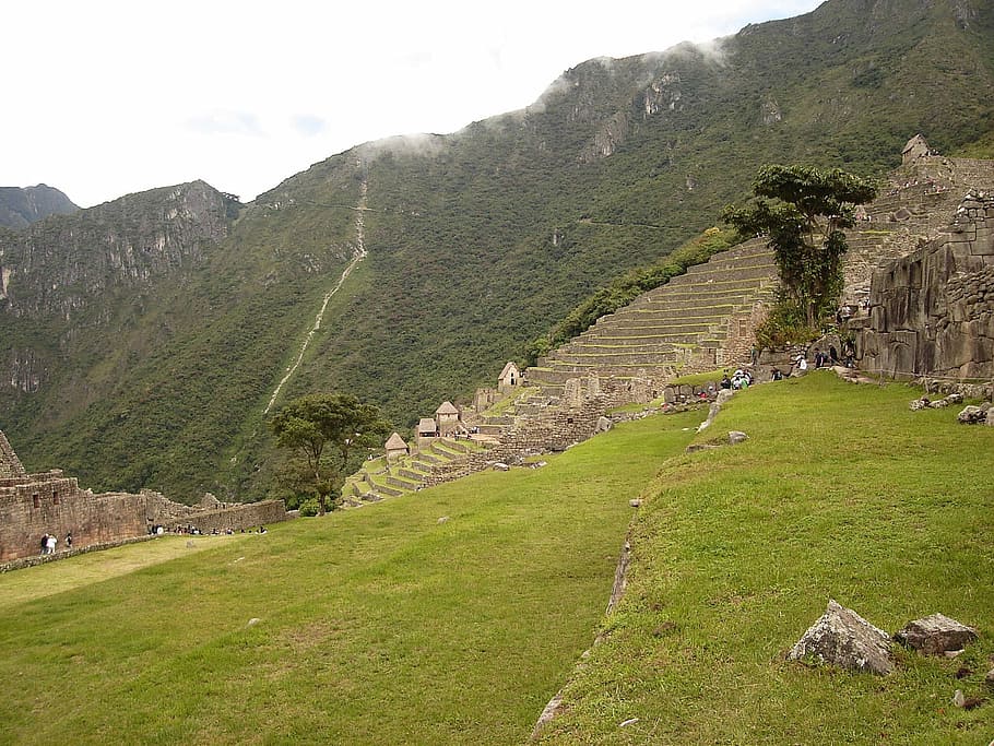 terraços, de, Machu Picchu, Peru, fort, photos, grass, mountains, mountainside, public domain