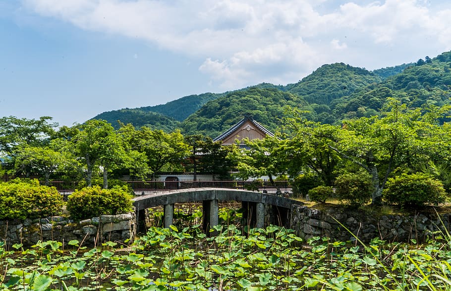 arashiyama, japan, lily pond, bridge, temple, sky, clouds, landscape, kyoto, asia