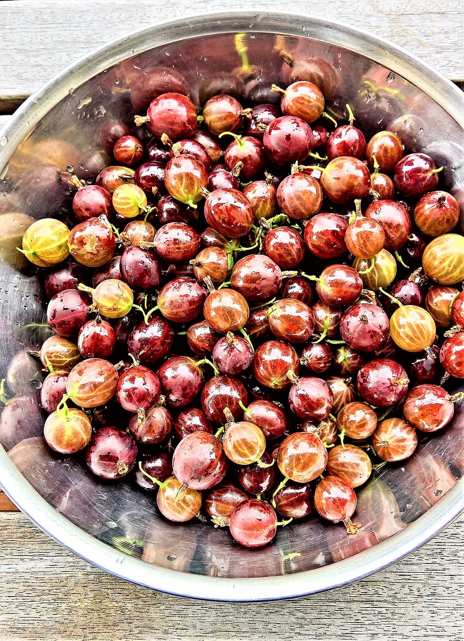 Merah, Gooseberry, Buah Lembut, gooseberry merah, buah-buahan, dipanen sendiri, frisch, matang, taman, mangkuk