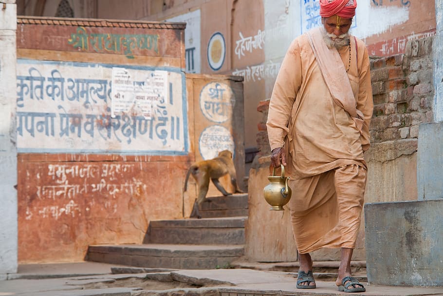man, carrying, kettle, walking, isle, india, incarnation, travel, vrindavan, monkey