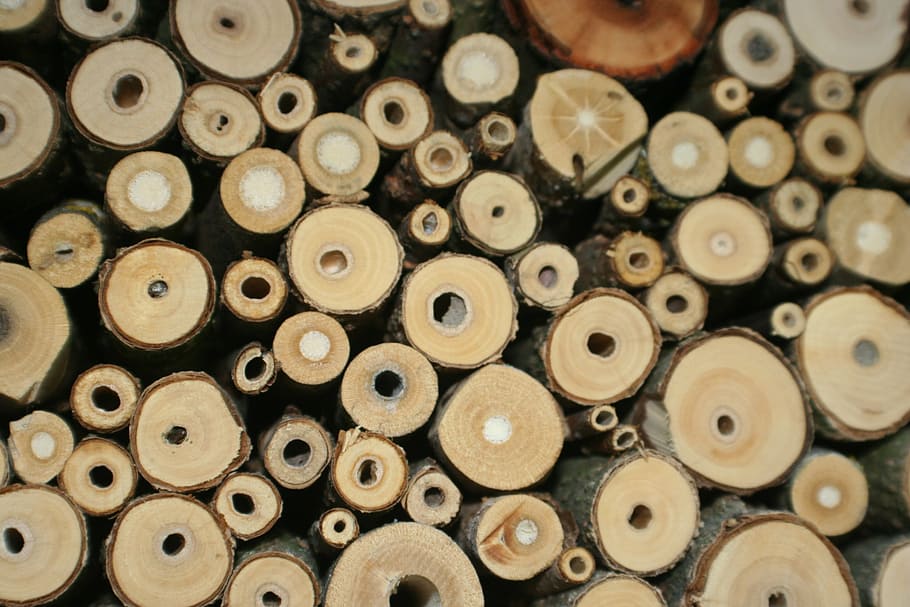 insect hotel, insect, breeding help, bee hotel, insect house, wild bees, nesting help, drill holes, wood, large group of objects