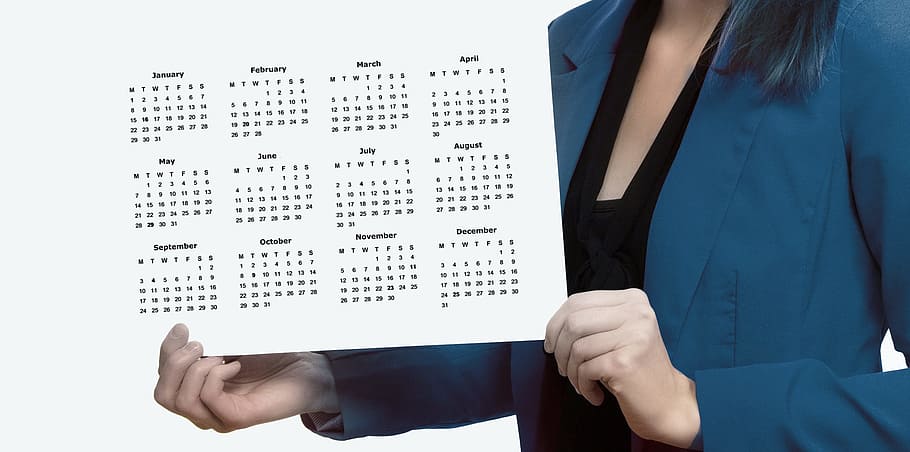 wanita, memegang, putih, kalender, agenda, pengusaha, presentasi, rencana jadwal, tahun, tanggal