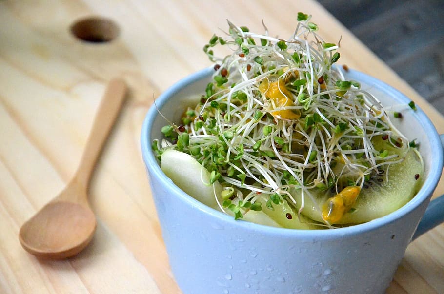 super, food, Broccoli Sprouts, Super Food, anti cancer, food and drink, bowl, freshness, healthy eating, vegetable