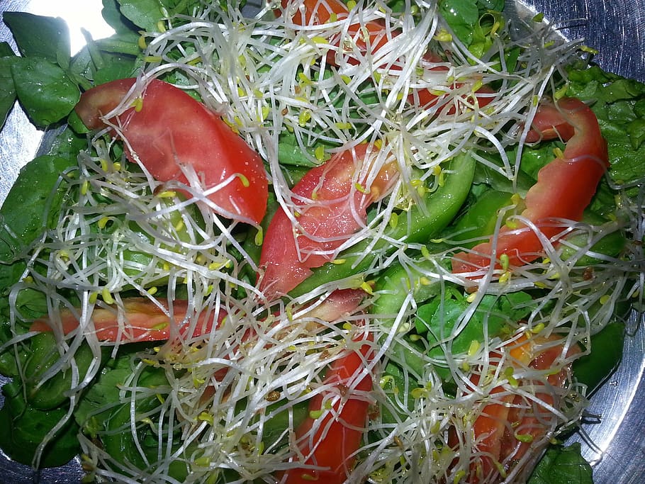salada, alfafa, tomate, agrião, comida e bebida, Comida, vegetal, alimentação saudável, bem-estar, frescura