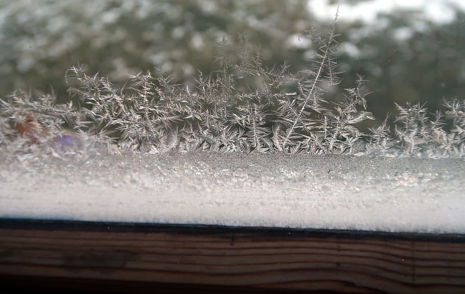frost, nature, winter, cold, gel, snow, ice, house, window, decor