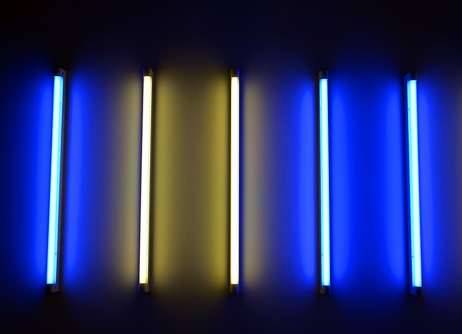 tubo de neón, luz de neón, luz, instalación de arte, arte, instalación, bienal, azul, blanco, barras