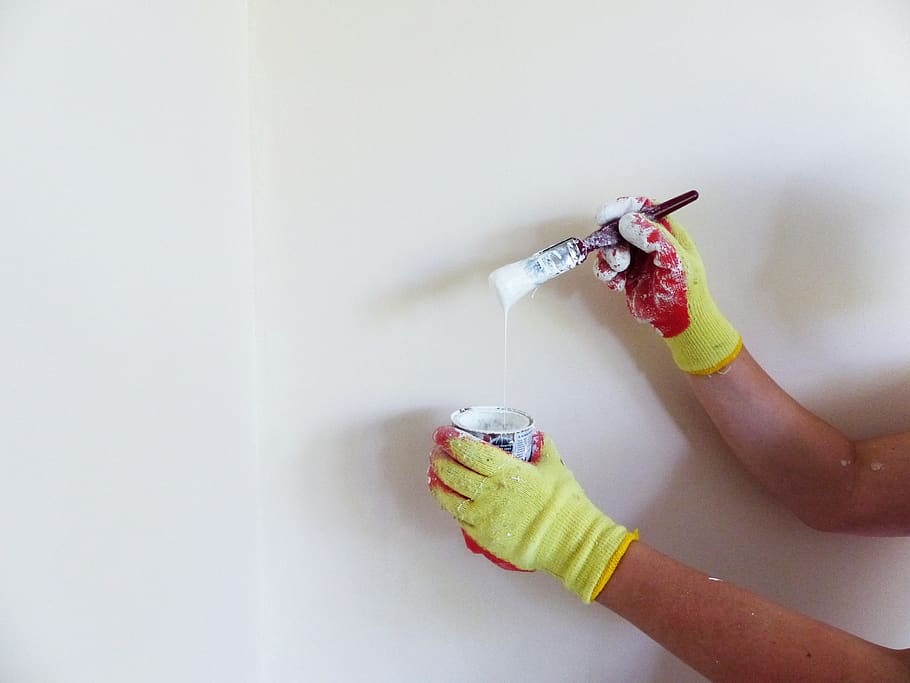 wall, painting, paint a wall, interior paint, emulsion, paint brush, brush, renovation, decoration, white emulsion