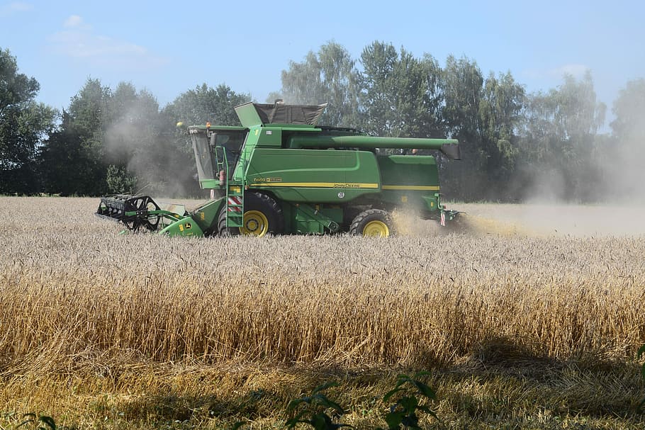Harvester, Harvest, Rye, Wheat, agriculture, cornfield, grain harvest, harvesting, grain, agricultural machinery