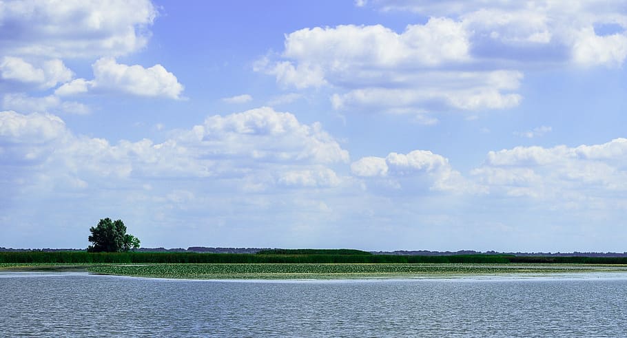 tisza, lake, landscape, poroszló, reed, cloud, blue, summer, water, sky
