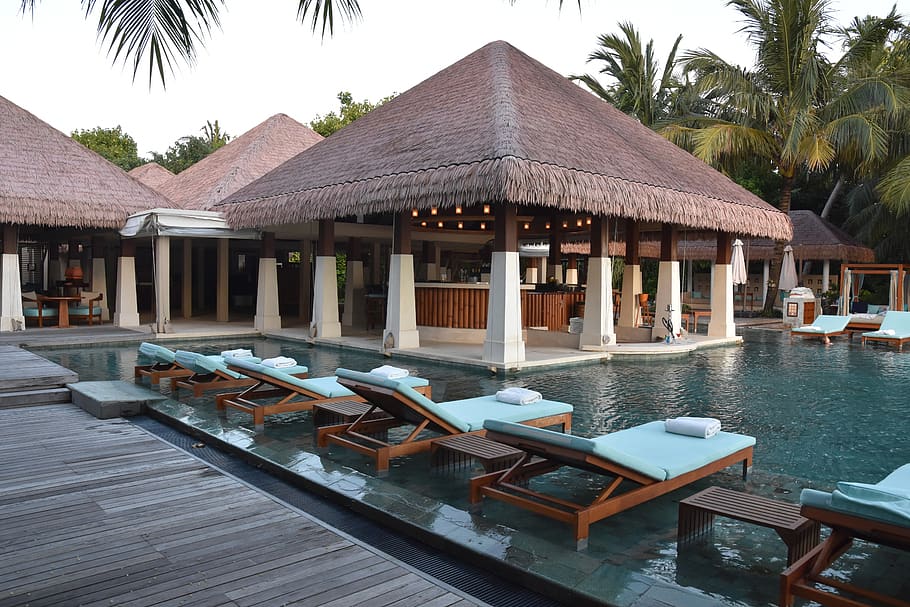 Maldivas, resort, playa, bar de la piscina, verano, vacaciones, viajes, arquitectura, estructura construida, palmera