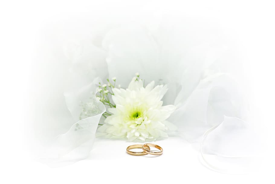 wedding, rings, marry, gold, jewellery, romance, deco, white, flowers, background
