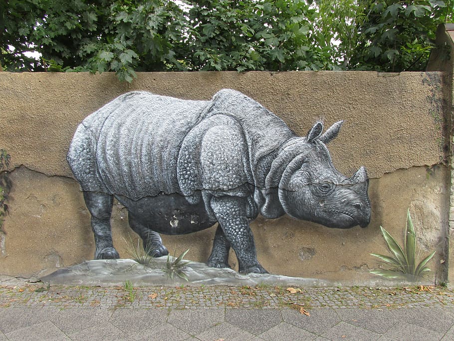 rhino, wall art, wall, zoo, berlin, lichtenberg, germany, animal, nature, wildlife photography