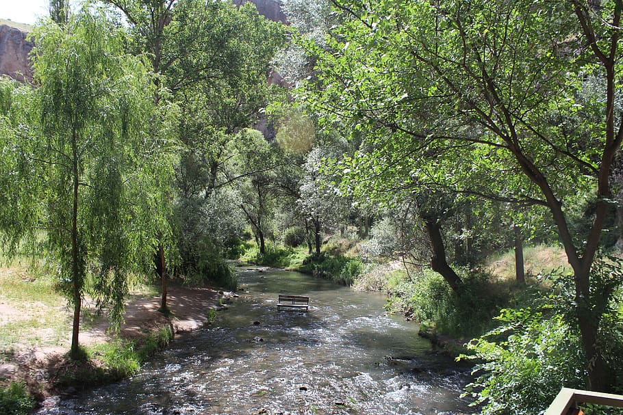 h ke, sungai, cappadocia, nevşehir, pohon, menanam, arah, pertumbuhan, hutan, alam