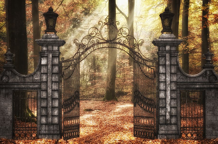 grey, concrete, stand, black, metal gate, forest, beech wood, goal, fantasy, composing