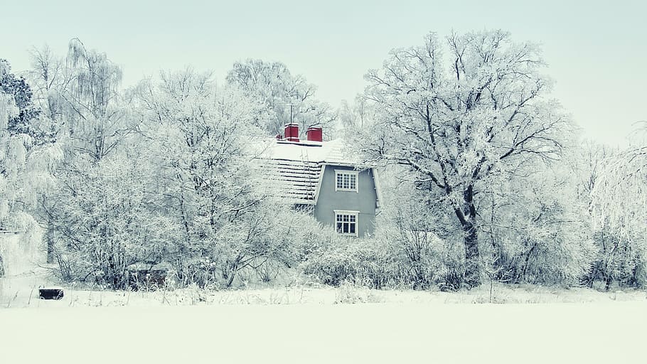 abu-abu, dicat, rumah, diambil, musim salju, finlandia, salju, musim dingin, hutan, alam