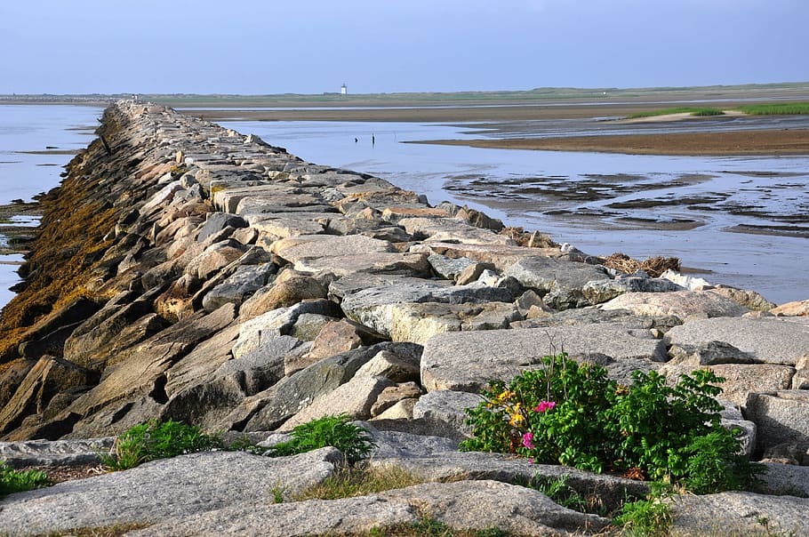 brown, gray, rock formation, jetty, cape cod, provincetown, new england, water, nature, sea