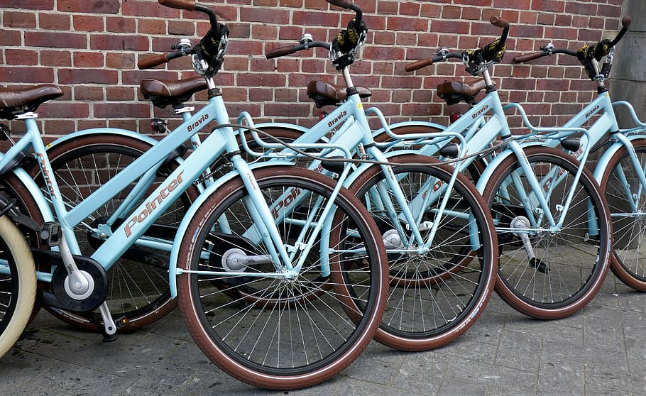 teal pointer bicycle, standing, brick wall, daytime, \, bicycles, rental bikes, bike, wheel, handlebars