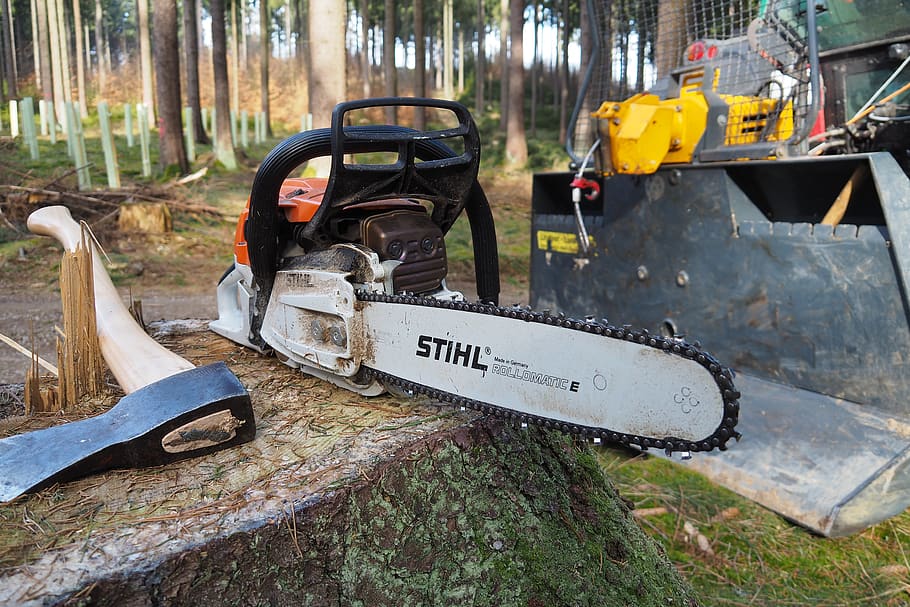 forest, chainsaw, forest work, woodworks, day, work tool, nature, tree, land, equipment