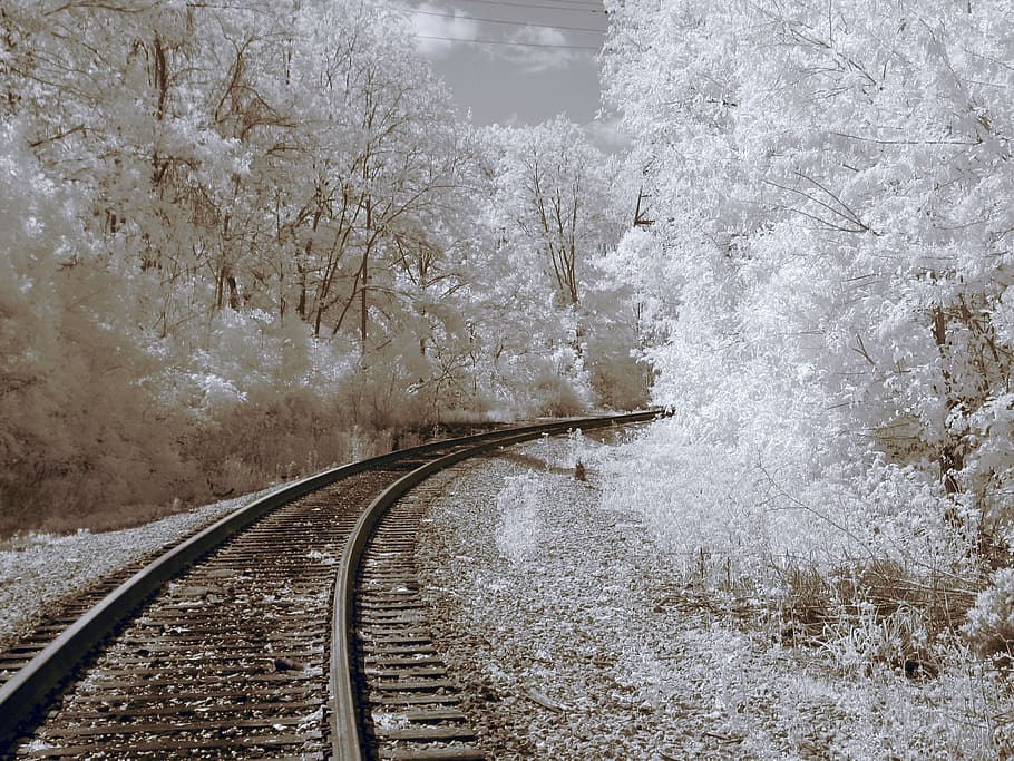 infrared, railroad tracks, train tracks, railroad, snow, cold temperature, winter, plant, transportation, tree