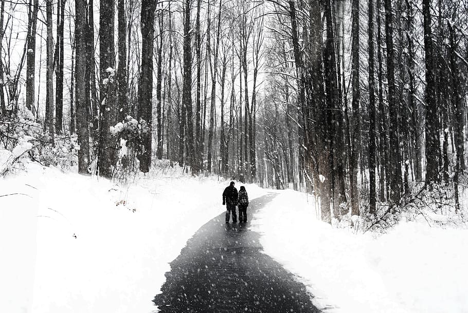 grayscale photo, two, persons, standing, middle road, surrounded, leafless trees, walking, couple, people walking
