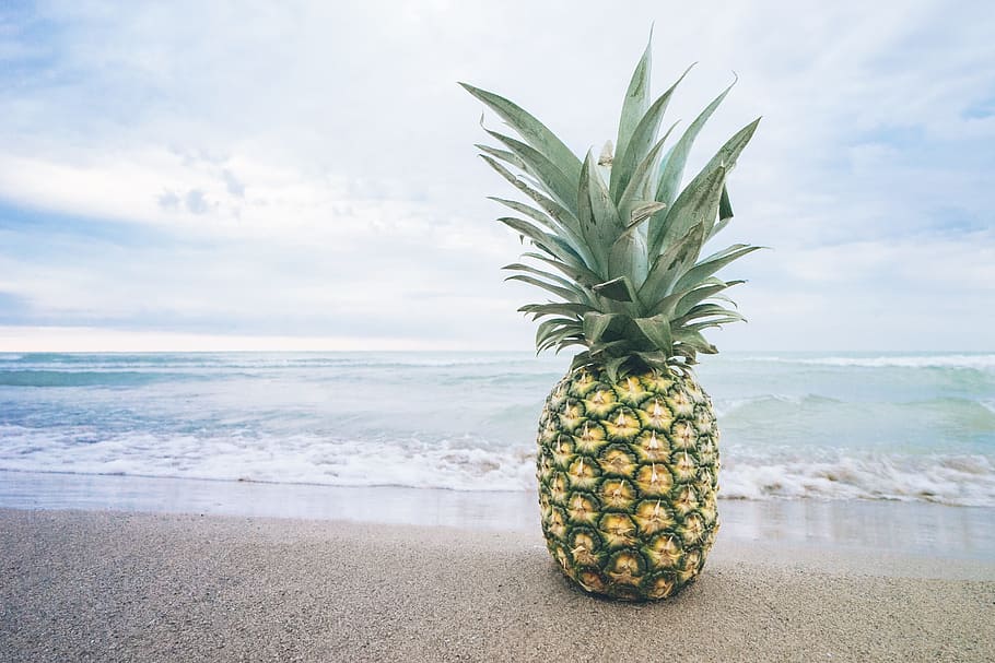 pineapple, beach shore, beach, fruit, lake, ocean, sand, summer, summer vibes, summertime