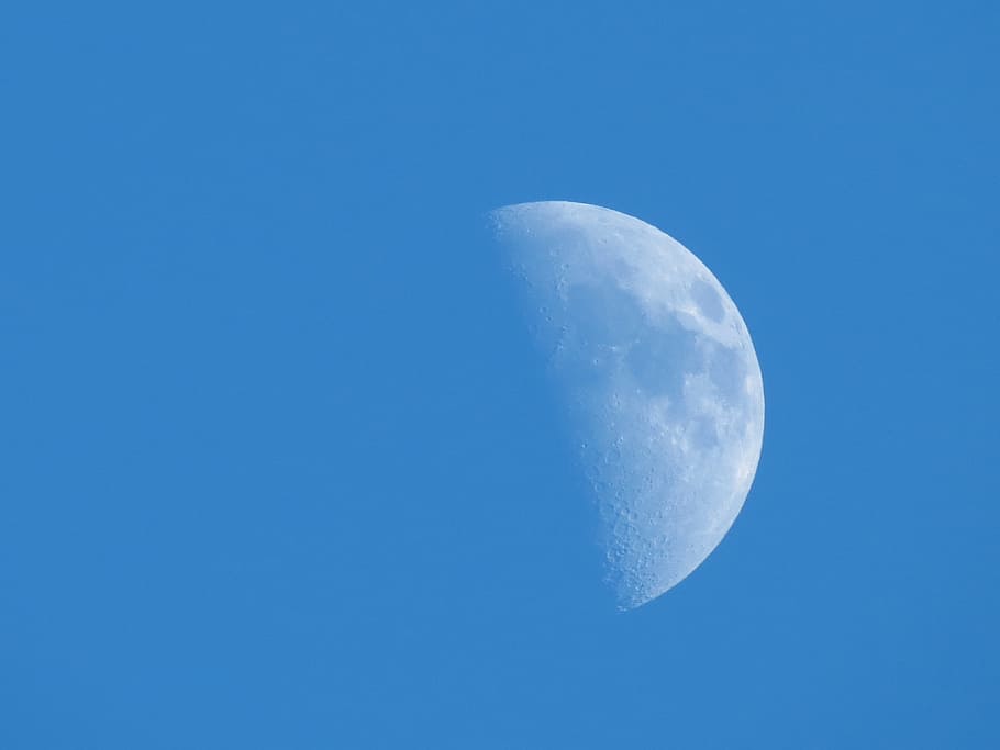 Luz del día, media luna, cielo azul, luna, superficie lunar, astronomía, azul, escena tranquila, naturaleza, cielo