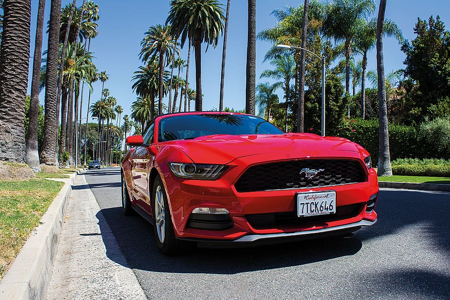 red, ford mustang coupe, road, daytime, convertible, ford mustang, beverly hills, mustang, palms, los angeles