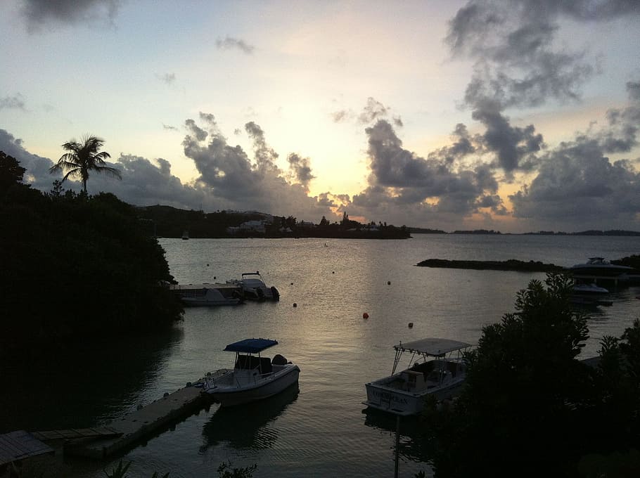 white, boat, dock, trees, gray, sky, daytime, ocean, sea, sunset
