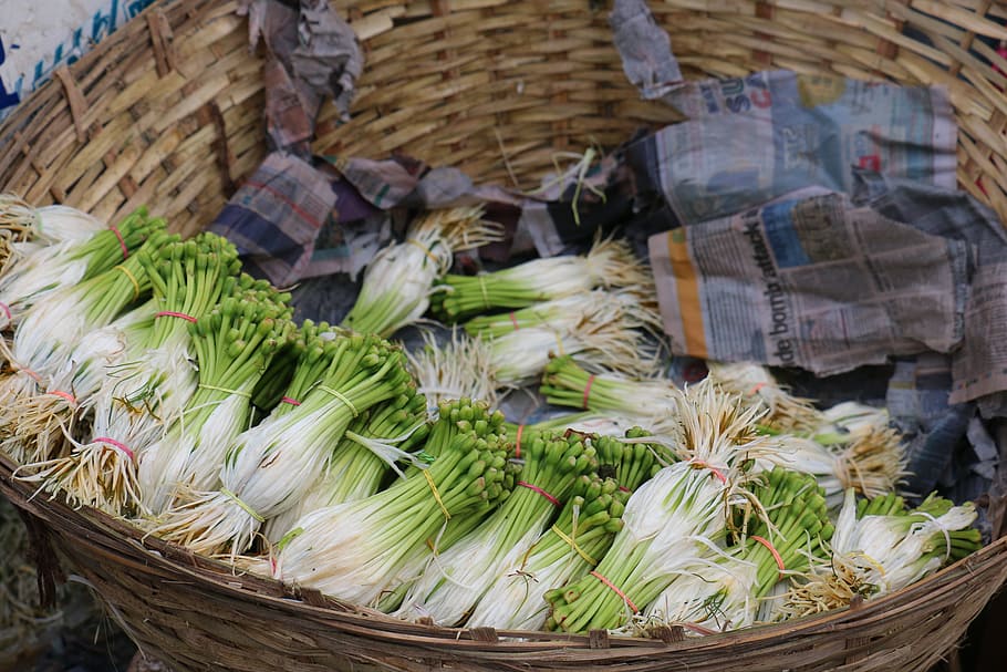Saplings, Basket, Plants, food, vegetable, market, asia, freshness, healthy Eating, cultures