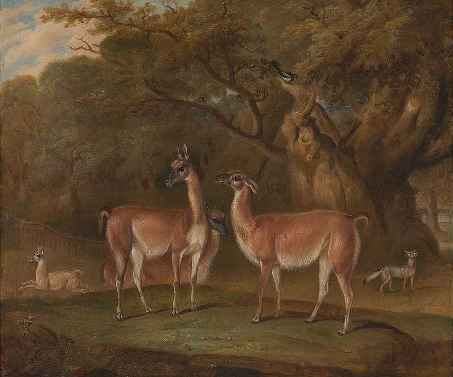 deer painting, thomas weaver, art, painting, oil on canvas, landscape, wildlife, llamas, forest, trees