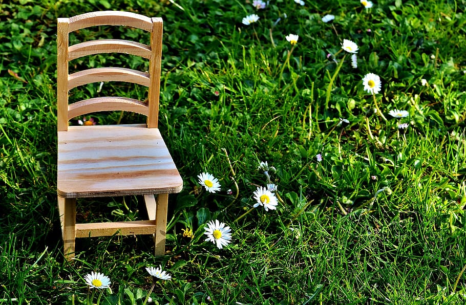 Chair, Meadow, Wood, Seat, Nature, green, rest, park, resting place, wooden chair