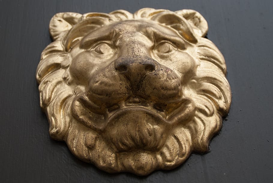 lion, ornament, door, knocker, decoration, sweden, stockholm, gold, gold lion, heraldry