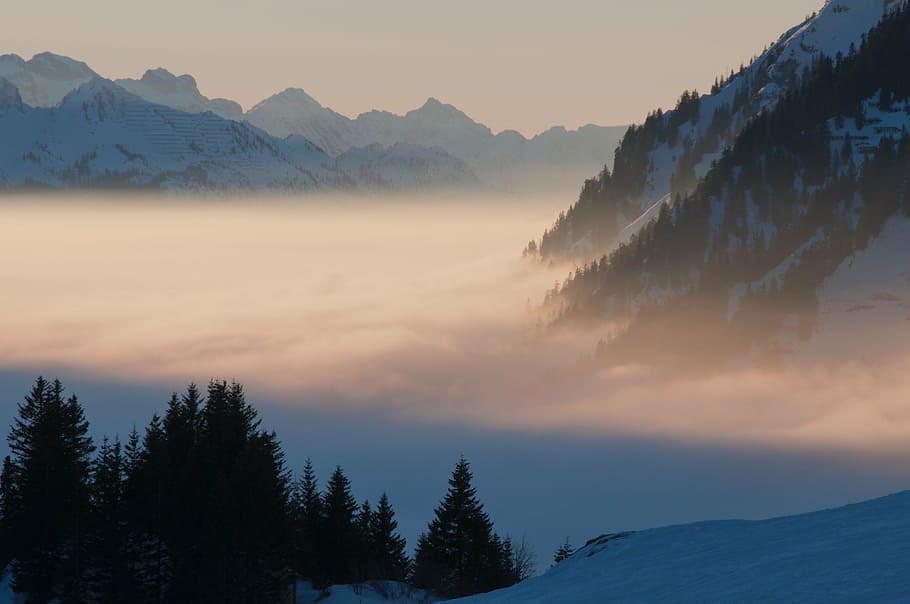 landscape photography, mountains, trees, fog, mountain, highland, cloud, sky, summit, ridge