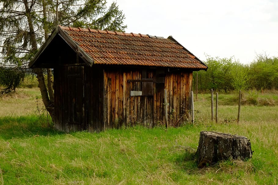 Hut, Log Cabin, Wood, Nature, Vacation, landscape, garden shed, scale, brown, rustic