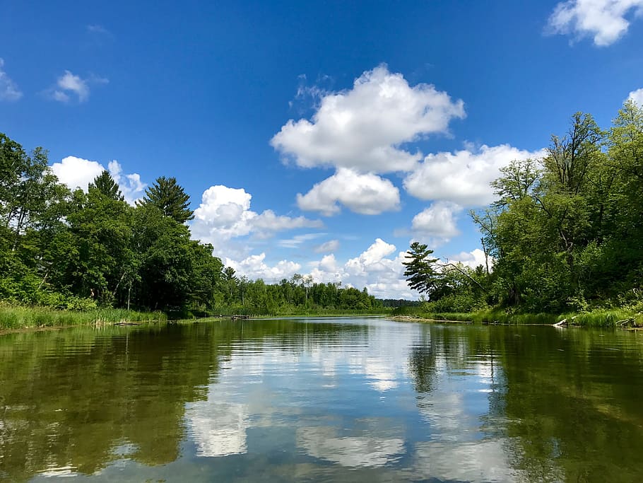 minnesota, lakes, blue sky, clouds, nature, outdoors, river, greenery, water, tree