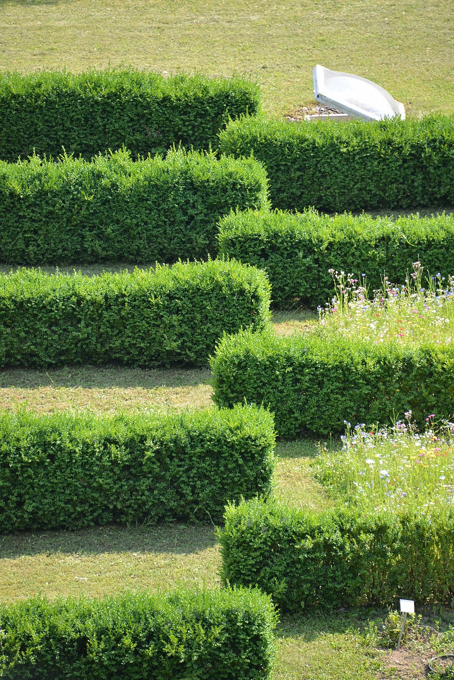 hedge, hedge accounting, structure, lines, garden, labyrinth, maze, roof, green roof, roof windows