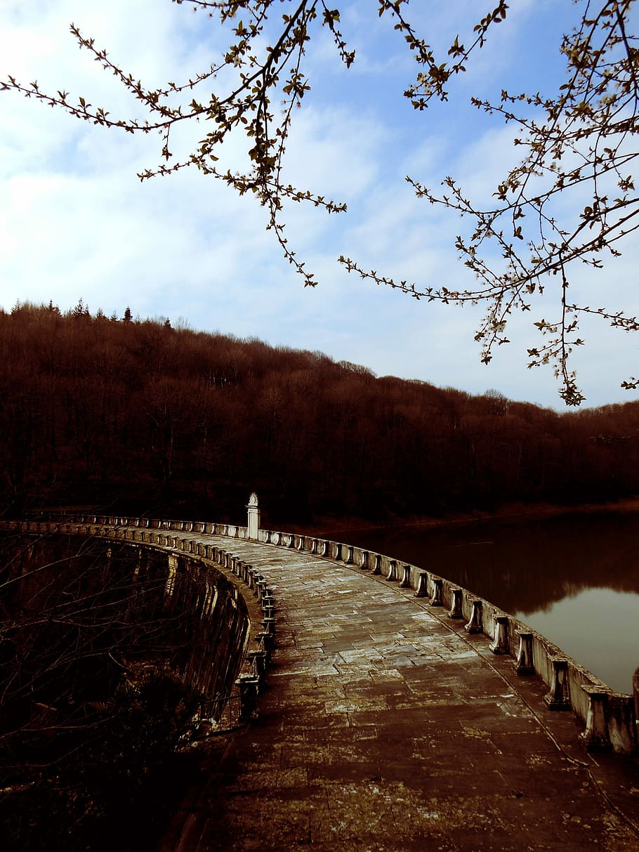 Дорога через плотину. Дорога на плотине. Водохранилище лес. Рассвет на реке. Дамба в лесу.