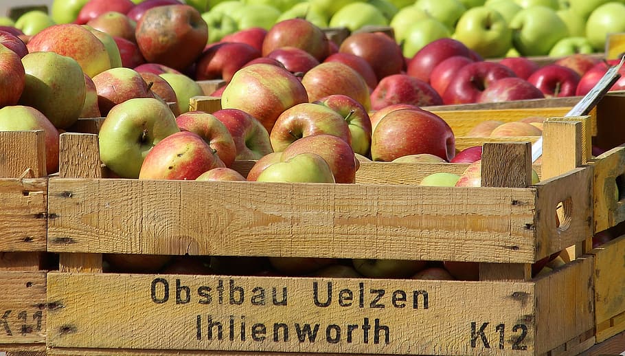 pile of apples, apple, apfelernte, wooden box, market, farmers local market, summer, fruit, apple tree, nature