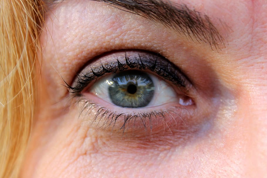 ojo, mirada, ojo verde, visión, iris, cilios, córnea, ojo humano, primer plano, vista