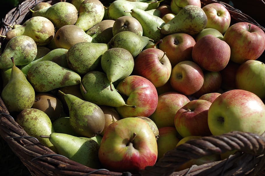 maçã, peras, frutas, fruto, cesto de frutas, comida, nutrição, frutado, vegetariano, vitaminas