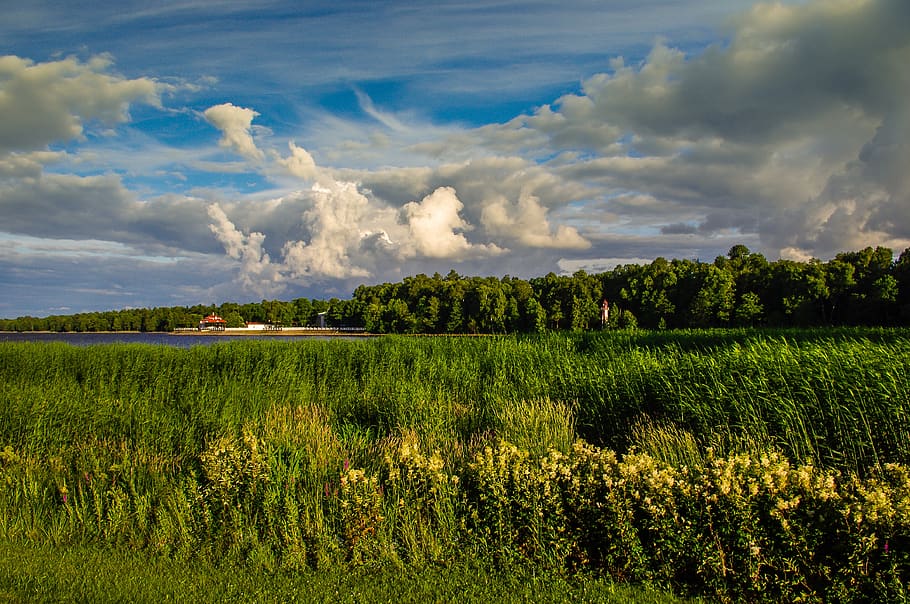 panoramic, nature, sky, cloud, landscape, peterhof, st petersburg, russia, sunset, cloud - sky