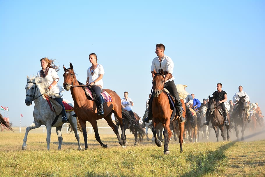 horse, tradition, rider, horse riding, domestic animals, mammal, domestic, group of people, livestock, men